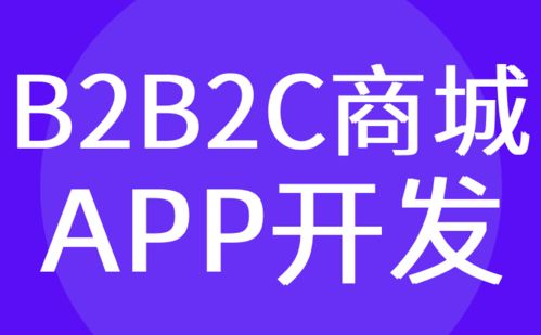 广州B2B2C商城APP开发 购物电商系统软件定制 红匣子科技