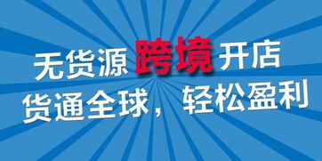 亚马逊erp系统开发代理,跨境电商无货源店群项目