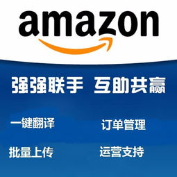 亚马逊无货源跨境电商erp系统,2019创业梦轻松做外贸